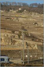 Whrend weit oben in den Reben der  Train des Vignes  Richtung Chexbres strebt, entdeckt man am unteren Bildrand andeutungsweise den Bahnhof Rivaz.