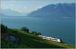 Whrend der  Domino  der S31 die ersten Sonnenstrahlen krftig zurckspiegelt, gleitet der Blick ber den ruhigen See ins Chablais.