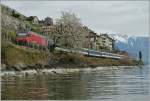 Frhling im Lavaux - Re 460 037-8 mit einem IR von Brig nach Genve Aropoort bei St-Saphorin.
09.04.2012