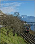 Ein Regionalexpress begegnet bei St.Saphorin dem Frhling im Januar.