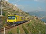 Der  Train des Vignes / Rebbergzug  auf seiner Fahrt nach Vevey kurz nach Chexbres.