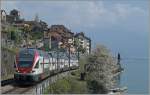 Der RABe 511 103 als RE 2726 von Vevey nach Genève bei St-Saphorin; auf dieses Foto habe ich über ein Jahr warten müssen, da letzten Frühling Freizeit, Blütenzeit und