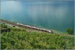 Ein Flirt fährt als Regionalzug 12132 auf der Fahrt von Villenueve nach Yverdon bei St-Saphorin dem Lac Léman entlang.