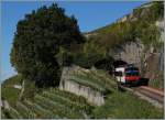 Der Steuerwagen einer S31 schlüpft aus dem nur 20 Meter langen Salanfe Tunnel zwischen Chexbres und Vevey (Linie des Train des Vignes/Rebergzuges).