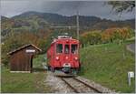 Der Bernina Bahn RhB ABe 4/4 I N° 35 der Blonay-Chamby Bahn auf der Fahrt von Blonay nach Chaulin beim Halt in Cornaux.
