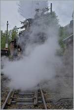 Es raucht und dampft - die Blonay-Chamby Bahn heisst sie herzlich willkommen...