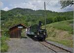 Die kleine LEB G 3/3 N� 5 (Baujahr 1890) der Blonay Chamby Bahn ist mit einem Personenzug bei Cornaux auf dem Weg nach Chaulin.