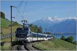 Die MOB Ge 4/4 8004 ist mit einem MOB Panoramic Express von Montreux nach Zweisimmen bei Planchamp unterwegs.