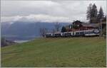 Kurz vor Les Avants ist die MOB Ge 4/4 8004 mit dem MOB/BLS GoldenPass Express GPX 4074 von Montreux nach Interlaken Ost unterwegs.