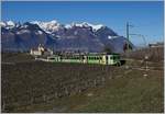 Vor der Kulisse der Walliser Alpen und des Château de Aigle fährt der ASD Regionalzug 432 oberhalb von Aigle Richtung Les Diablerets.