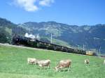 RhB Dampfextrazug fr GRAUBNDEN TOURS 3031 vom 20.06.1999 von Landquart nach Davos-Platz zwischen Jenaz und Fideris mit Dampflok G 4/5 107 - B 2245 - B 2246 - A 1102 - C 2012 - D 4052II - B 2060
