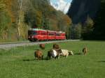 Regio Pendelzug zwischen Grsch und Malans.Whrend unten der Herbst eingekehrt ist,haben wir in den Bergen oben,schon Winter.Ganda 27.10.10
