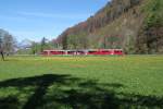 Der Frühling ist da!Regiopendel nach Rhäzüns zwischen Grüsch und Malans.11.04.14