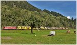 5042 mit Ge 6/6 II 703  St.Moritz  bei Jenaz. (02.09.2016)