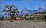 S1 1514 mit ABe 4/16 3102 bei Malans mit Gonzen und Gauschla im Hintergrund.