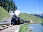 RhB Dampf-Extrazug fr GRAUBNDEN TOURS 3153 von Davos-Platz nach Filisur vom 20.06.1999 bei Davos Lengmatte mit Dampf-Lok G 4/5 107 - B 2245 - B 2246 - A 1102 - C 2012 - D 4052II - B 2060 - B