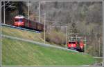 Bei der Verzweigung der Engadiner und der Oberl�nder Linie treffen sich die S1 1554 aus Thusis und die Ge 6/6 II 703  St.Moritz  aus Ilanz.