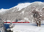 Winter im Engadin: IR von St. Moritz nach Chur in wunderschöner, verschneiter Berglandschaft im Val Bever zwischen Bever und Spinas. Bever, 10.12.2020