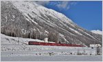 RE1129 nach St.Moritz mit Ge 4/4 III 642  Breil/Brigels  zwischen Bever und Samedan. (08.11.2016)