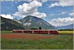 S1 1516 mit ABe 4/16 3104 zwischen Reichenau-Tamins und Bonaduz und dem Taminser Calanda im Hintergrund.