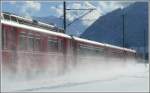 Schneegest�ber bei Bonaduz.