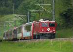 GlacierExpress 902 mit der Ge 4/4 I 607  Surselva  begenet mir oberhalb Reichenau-Tamins. (18.05.2010)