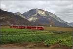 S1 1521 mit ABe 4/16 3102 zwischen Reichenau-Tamins und Bonaduz.