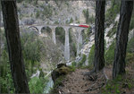 Der Drei-Bäume-Blick -    Blick auf das Landwasserviadukt.