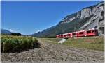 S2 1558 nach Chur mit ABe 4/16 3101 bei Felsberg. (08.06.2018)