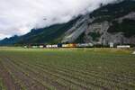 BLS Re 475 Vectron mit G�terzug von den Emserwerken zwischen Felsberg und Chur West am 6.6.2026