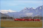 Be 4/4 Pendelzug bei Felsberg, vor der Kulisse der Scesapalna, begenet einem Fischreiher.