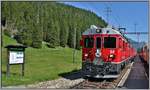 R1660 mit ABe 4/4 III 54  Hakone  und 51  Poschiavo  in Cavaglia.