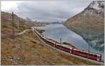 Bernina Express PE951 mit ABe 8/12 3502 ubnittelbar nach Ospizio Bernina 2253m.