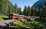 RhB ABe 4/4 III 56 und 55 als Regio St. Moritz - Poschiavo am 7. Juli 2020 im Taiswald zwischen Pontresina und Surovas. In Pontresina wurden dem Regio zusätzlich einige Holzwagen angehängt.