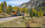 FairFotoFahrt am 10. Oktober 2020 mit dem Bernina-Krokodil Ge 4/4 182.<br>
Der Fotozug zwischen Surovas und Morteratsch.