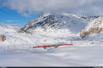 RhB Allegra ABe 8/12 3502 mit Regio Tirano - St. Moritz am 19. Dezember 2020 zwischen Ospizio Bernina und Bernina Lagalb.