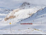 RhB ABe 4/4 III 56 und 52 mit Regio St. Moritz - Tirano am 19. Dezember 2020 zwischen Bernina Lagalb und Ospizio Bernina.