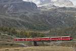 Rhätische Bahn (RhB).
Alte Personenwagen nach wie vor unentbehrlich.
Allegra ABe 8/12 zwischen Bernina Lagalb und Ospizio Bernina beim Passieren der Wildwestbrücke am 2. Oktober 2021.
Foto: Walter Ruetsch 
