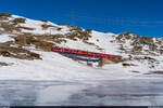 RhB ABe 4/4 III 56 & 51 / Ospizio Bernina, 13. Februar 2022<br>
Regio Tirano - St. Moritz