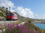 Schöne Blumen und ein schöner Zug im Gebirge: ABe 8/12 3508 als Regionalzug von Tirano nach St. Moritz neben dem Wanderweg zwischen Alp Grüm und Ospizio Bernina (2253 müM). Ospizio Bernina, 7.8.2025