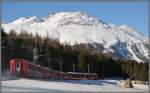 In Pontresina verschwindet R1644 im Stazerwald Richtung St.Moritz. (08.12.2011)