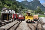 23401,23201, Bex950 und Gem 802  Murmeltier  in Poschiavo.