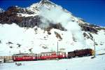 RhB - Dampfschneeschleuderextrazug 9462.2 fr Graubnden Tours von Alp Grm nach Ospizio Bernina am 28.02.1998 oberhalb Alp Grm mit Dampfschneeschleuder X d rot 9213 - Triebwagen ABe 4/4 I 30 + ABe