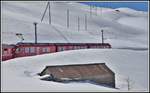R4621 mit ABe 8/12 3513 auf dem immer noch tiefverschneiten Berninapass kurz vor Ospizio Bernina 2253m.