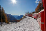 
Auf der Rückfahrt, bei bestem Kaiserwetter....
Geführt von den beiden RhB ABe 4/4 III Triebwagen Nr. 53  Tirano  und Nr. 54  Hakone  erreicht am 04.11.2019 unser RhB Regionalzug, von Tirano nach St. Moritz, bald Alp Grüm.

Unten im Tal (Puschlav) sieht man den Lago di Poschiavo (dt. Puschlaversee).