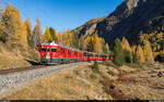 RhB ABe 4/4 III 52 & 54 / Bernina Express St. Moritz - Tirano / Morteratsch, 24. Oktober 2021