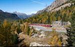 RhB ABe 4/4 III 51 & 52 / Morteratsch, 15. Oktober 2023<br>
Bernina Express St. Moritz - Tirano