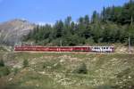 RhB - Regionalzug 1641 von St.Moritz nach Tirano am 18.08.2008 oberhalb Alp Grm mit Triebwagen ABe 4/4 III 51 - ABe 4/4 III 53 - B 2307 - B 2465 - B 2459 - AB 1544 - BD 2472 - B 2096 - B 2098  