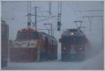 Aus dem Schneesturm taucht fast lautlos ein Gterzug nach Poschiavo auf, gezogen von ABe 4/4 III 54 und Gem 802  Murmeltier . (17.02.2009)