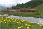 Der Frhling ist auch am Berninapass angekommen.